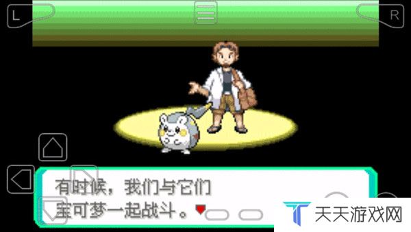 究极绿宝石5.5