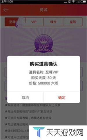 充值vip教程4