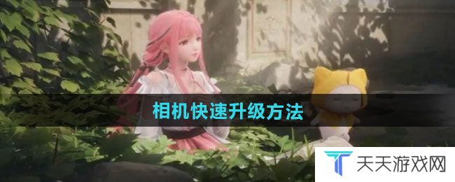 无限暖暖相机如何快速升级-相机快速升级方法