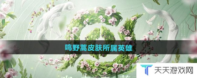 王者荣耀九周年鸣野蒿皮肤给到了谁-鸣野蒿皮肤所属英雄