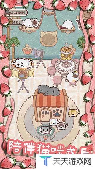 开心猫舍免广告版