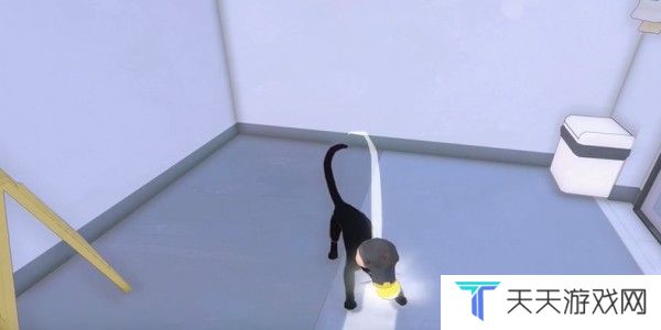 小猫咪大城市饭团帽怎么收集